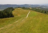 Górski bieg terenowy: Polana, Szyroki